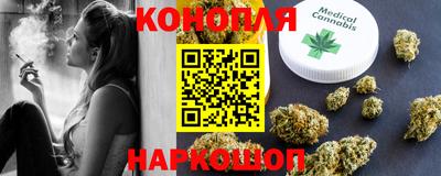 spice Гатчина