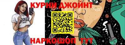 spice Гатчина