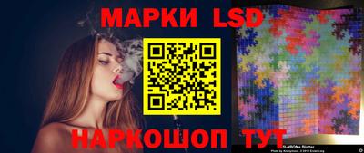 spice Гатчина