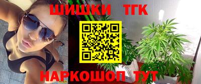 spice Гатчина
