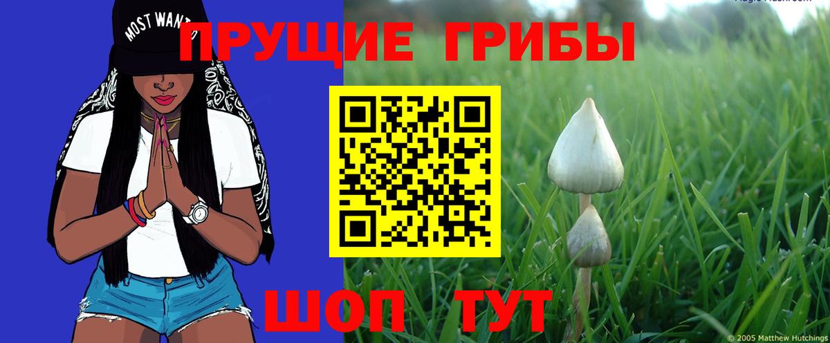 Белово  Псилоцибиновые грибы мухоморы  где найти   Вход с VPN  Псилоцибиновые грибы мицелий 